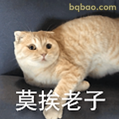 莫挨老子