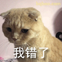我错了猫咪表情