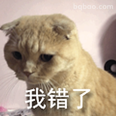 我错了猫咪表情