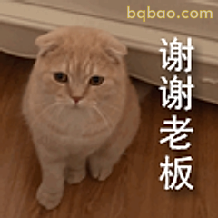 谢谢老板猫咪