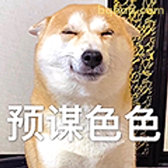 预谋色色柴犬