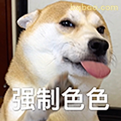 强制色色柴犬