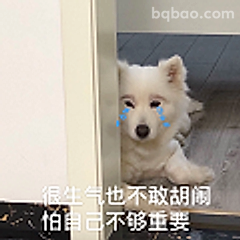 生气也不敢胡闹