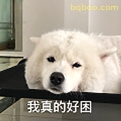 我真的好困