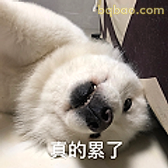 真的累了