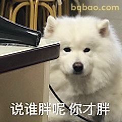 说谁胖呢你才胖