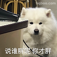 说谁胖呢你才胖