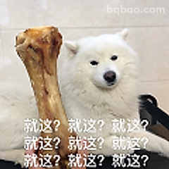 就这？萨摩耶灵魂三问