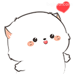 萌猫比心送爱心