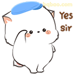 Yes sir小猫敬礼