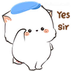 Yes sir小猫敬礼