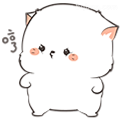 萌白猫歪头卖萌