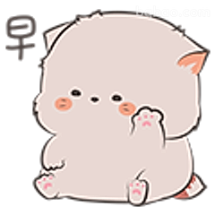 早安小猫举手打招呼