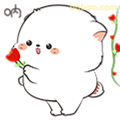 小白狗送玫瑰花