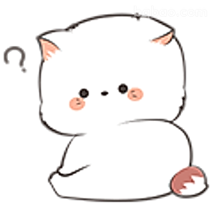 小猫歪头问号
