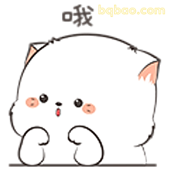 哦～小猫惊讶脸
