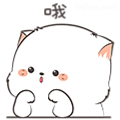 哦～小猫惊讶脸