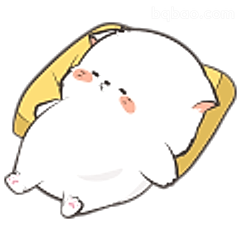 躺平小猫好舒服