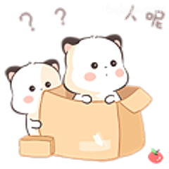 纸箱萌宠找人呢