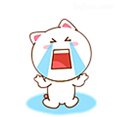 哭到崩溃的小白猫