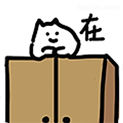 猫在柜子上写着在