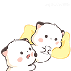 两只小猫贴贴
