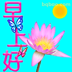 早上好莲花蝴蝶