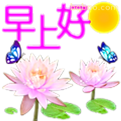 早上好莲花