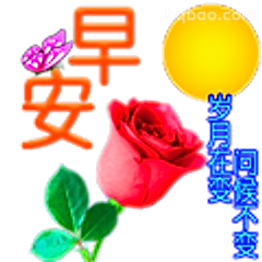 早安玫瑰配阳光