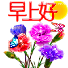 早上好花朵蝴蝶