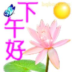 下午好莲花问候