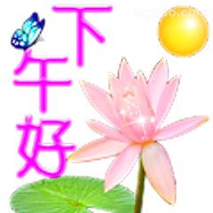 下午好莲花问候
