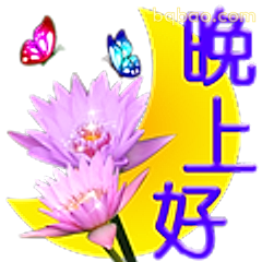 晚上好莲花蝴蝶