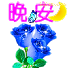晚安蓝玫瑰