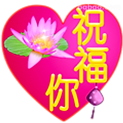 祝福你心形莲花