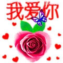 我爱你玫瑰花