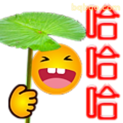 荷叶遮头哈哈哈