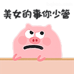 美女的事你少管