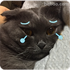 黑猫流泪表情包