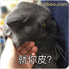就你皮？
