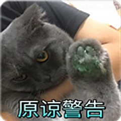 原谅警告猫咪
