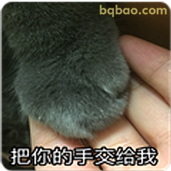 把你的手交给我