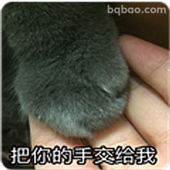 把你的手交给我