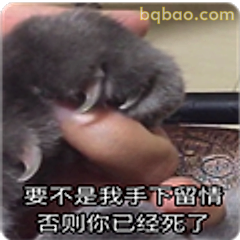 手下留情小爪子