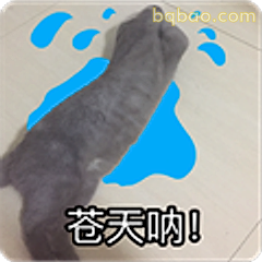 苍天呐!猫爪踩水