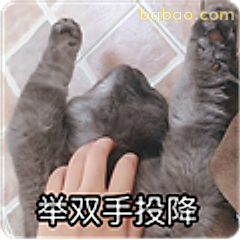 举双手投降