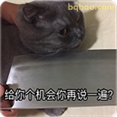 给你个机会再说一遍
