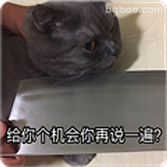 给你个机会再说一遍