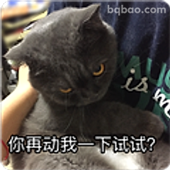 你再动我一下试试？