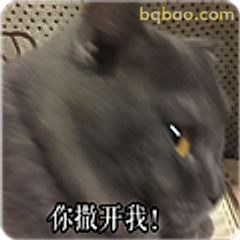 你撒开我！